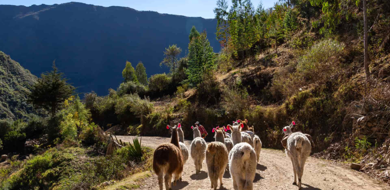 Lares Tour 2 Days